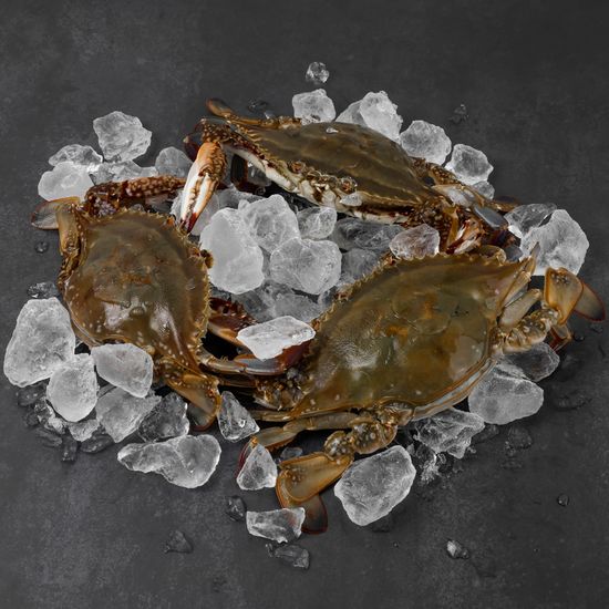 국내산 연평도 급냉 꽃게 10-12미 3kg