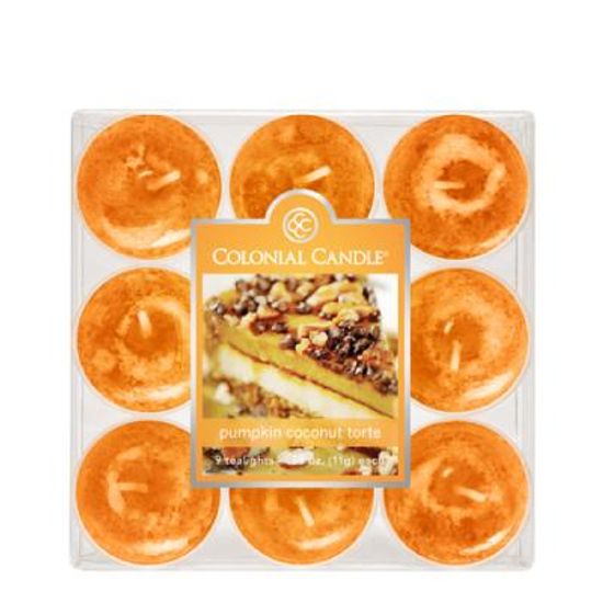 COLONIAL CANDLE 2846 티라이트 9pk 캔들 호박 코코넛 토르테