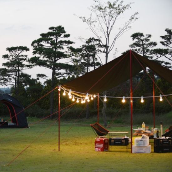 스노우아울 블랙 에디션 타프