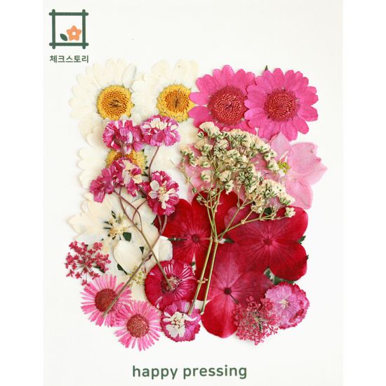 [압화 꽃모음 - A타입] 와인바람 꽃모음