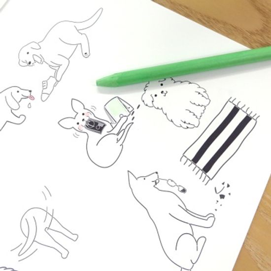 개고양이 컬러링북