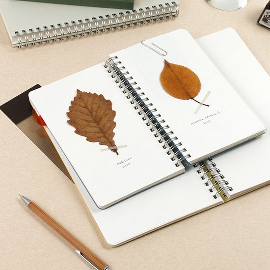 플랫 씨드노트 [S]