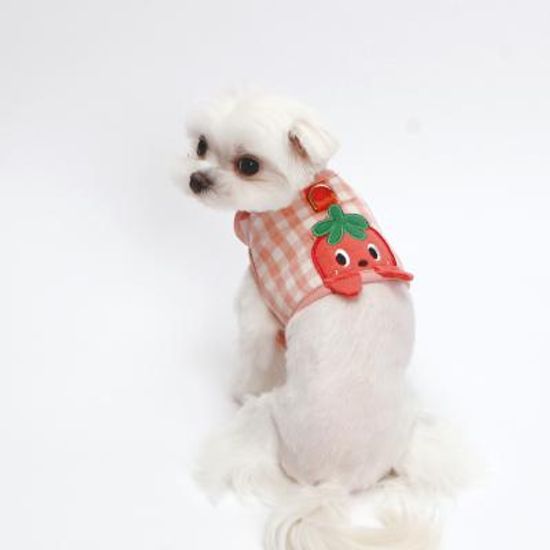 잼잼 까꿍 하네스 (딸기)