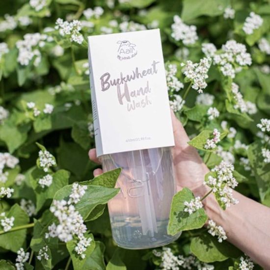 에이올 제주 메밀 친환경 천연 비건 핸드워시 650mL
