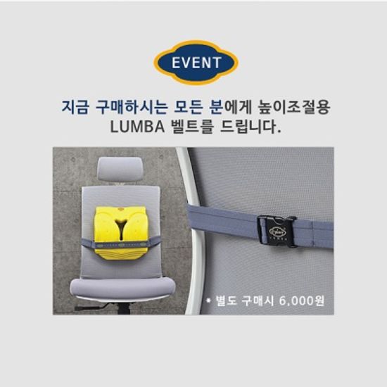 씨가드 룸바 - 의사가 만든 인체공학 허리쿠션