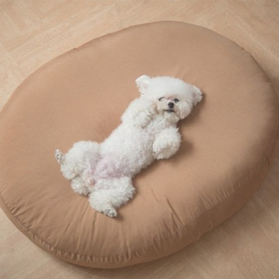 제리파파 말랑 패티 방석