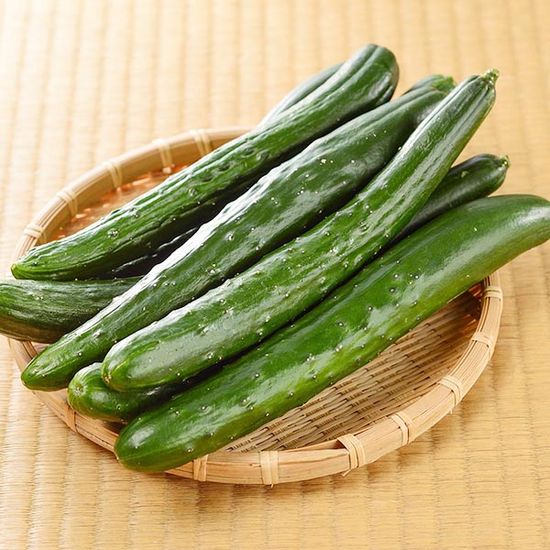 [농담] 국내산 취청오이 1kg 특품