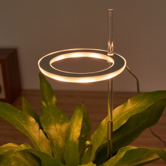 식물 전구 다육이 엔젤링 LED 무드등 성장조명