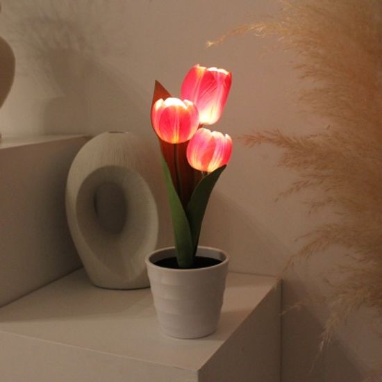 후르츠 튤립팟 LED 무드등-fruits tulip pot LED