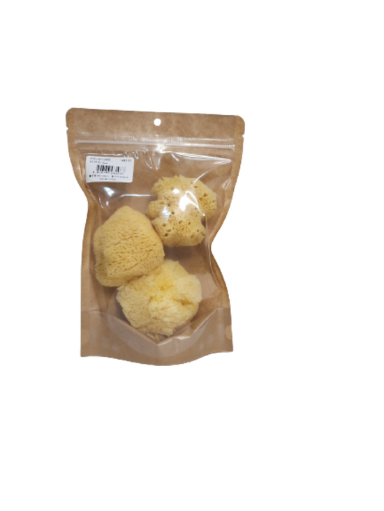 홀아트 천연스펀지 (해면) W82-03 대 3개입