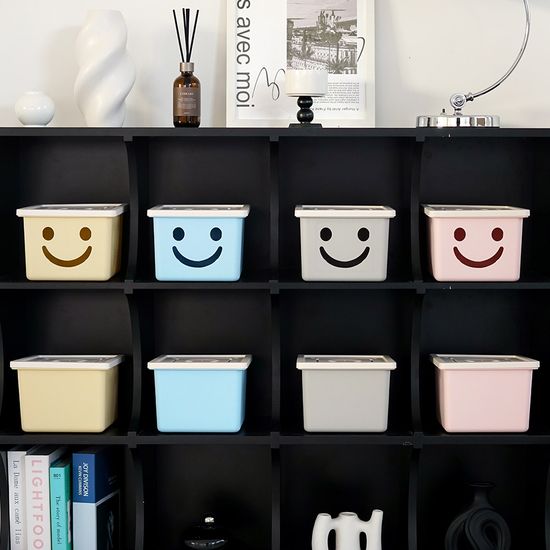 보노하우스 모던 미니 해피박스 1P 수납 정리함