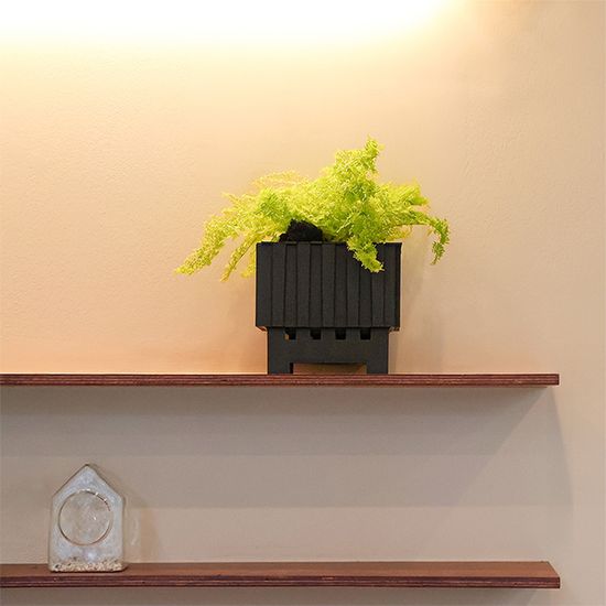 모던 인테리어 디자인 화분