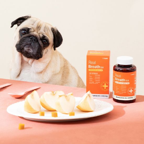 펫생각 데일리케얼 리얼배도라지 강아지 기관지영양제