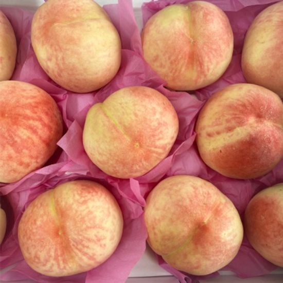 딱복 딱딱한 복숭아 털복숭아 4kg