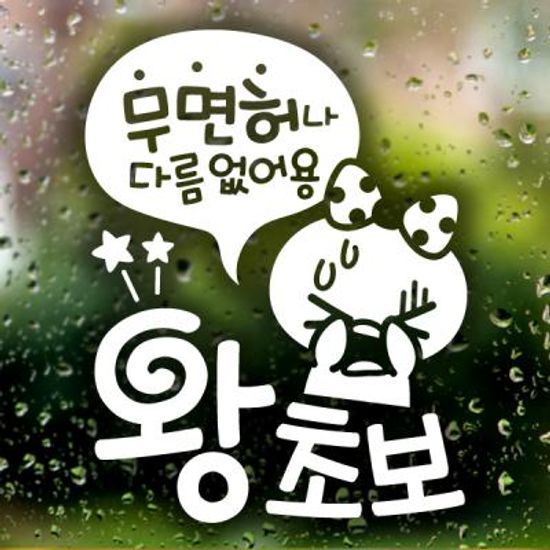 무면허 왕초보 쁘띠 / 초보운전 반사스티커 자동차스티커