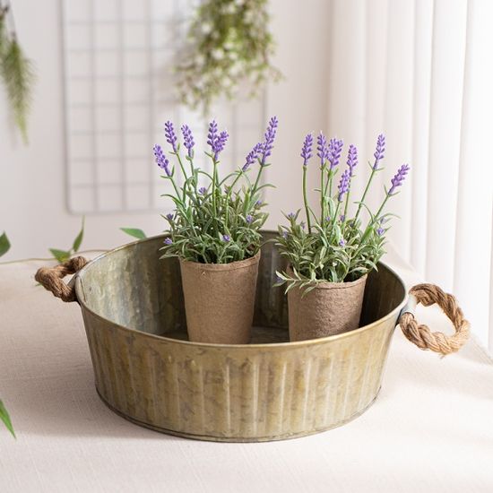 낮은 높이 양철 바스켓