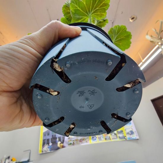 분갈이 플라스틱 슬릿화분 그린 소형(WBD68C3)