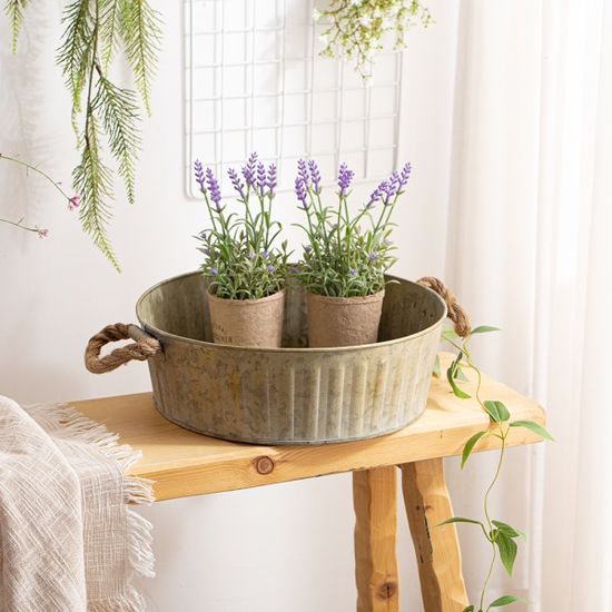 낮은 높이 양철 바스켓