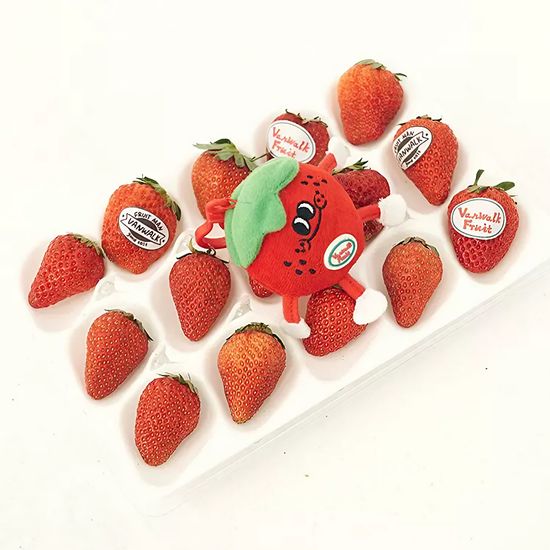 반워크 과일 통조림 키링 5종