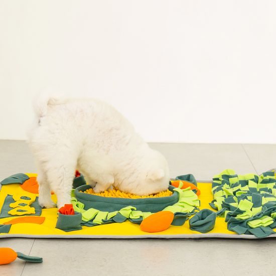 레토 강아지 당근밭 노즈워크 장난감 LDG-NW01