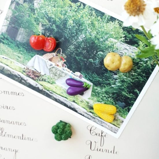 미니 텃밭 채소 5종 세트 마그넷