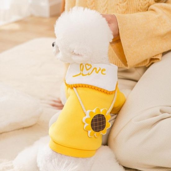 강아지 고양이 귀여운 애견의류 기모 카라티셔츠