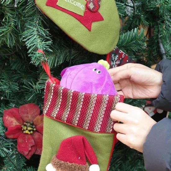 핑크풋 양파 동전지갑