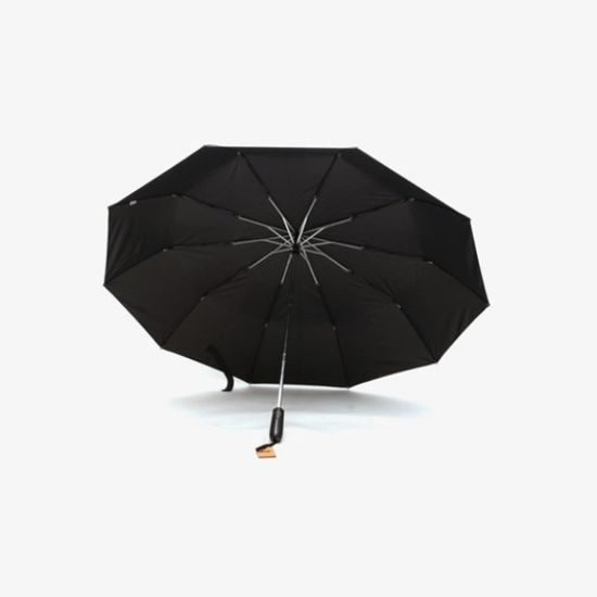 파라체이스 3244 빅사이즈 10패널 자동 3단 우산