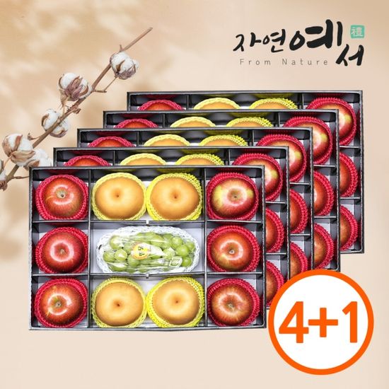 [초록자연] 명품 혼합 2호 과일선물세트(5개입)
