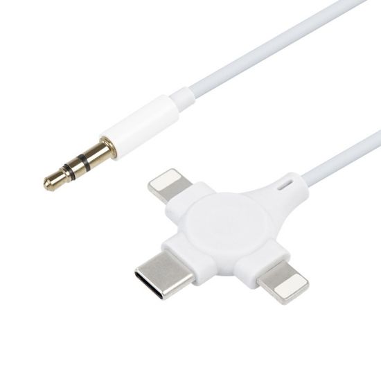 C타입 8핀 이어폰 젠더 / AUX 오디오 케이블 LCIH603