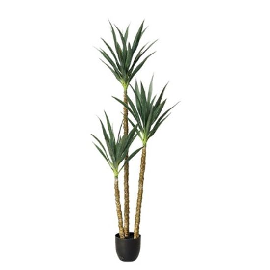 드라세나 마지나타 조화(160cm) 실내 인테리어 화분