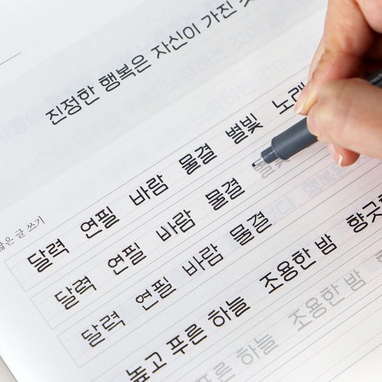 글씨를 쓰다 - 나만의 예쁜 글씨