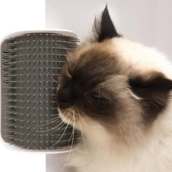 고양이 빗 고양이그루밍 고양이털관리 셀프그루머 펫
