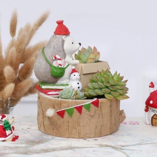 ROOGO 다육이 화분 고슴도치의 크리스마스 이사를해요