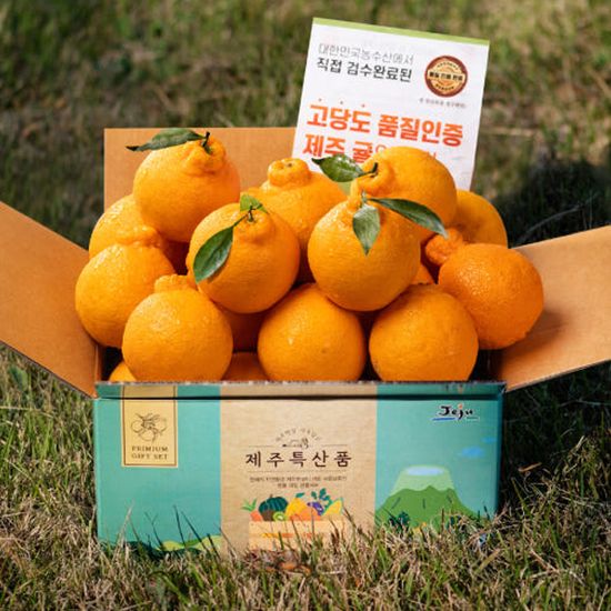 [대한민국농수산] 제주 산지직송 하우스 한라봉