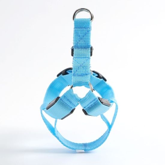 LED 강아지 하네스 가슴줄(L) (블루) 버클 애견가슴줄