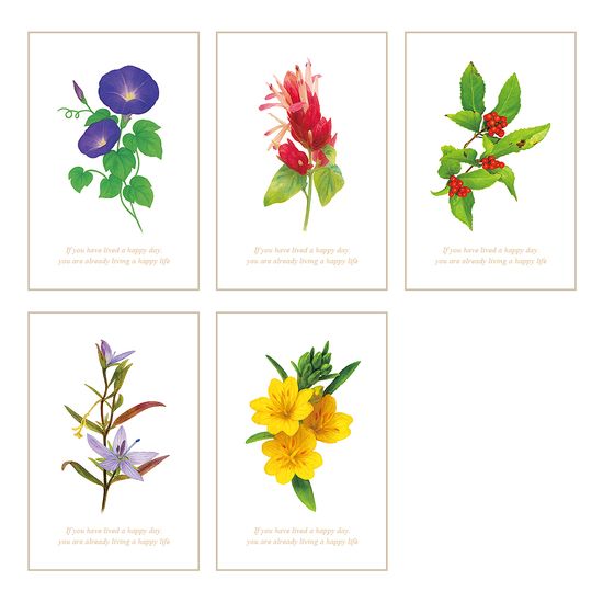 풀꽃일기 감사카드