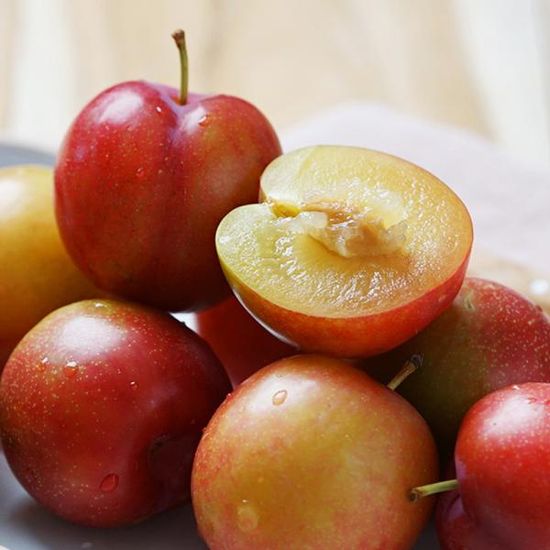 [첫출하] 새콤달콤 꿀맛 하우스 자두 1kg (20-30과)