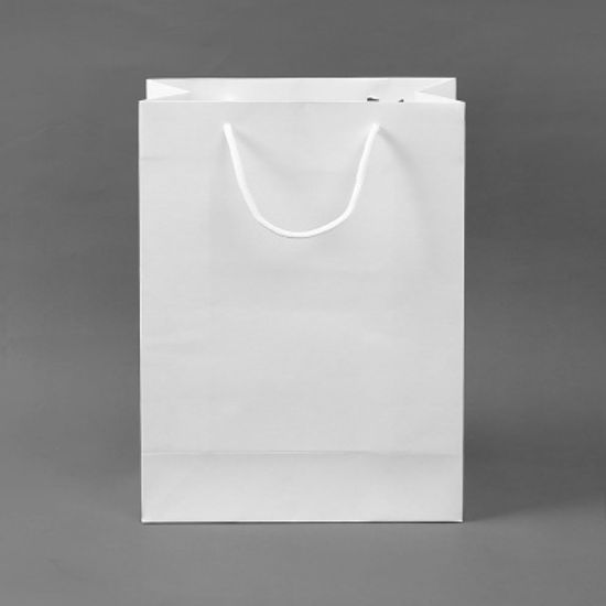 무지 세로형 쇼핑백 10p(20x28cm) (화이트) 쇼핑봉투
