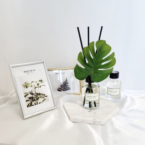 시즈넬 플라워 디퓨저 100ml 몬스테라