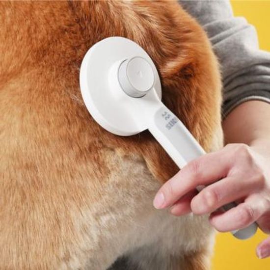 세이치 반려동물 원터치 브러쉬