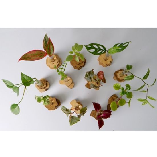 스택베이스 우드 오브제 수경 화병