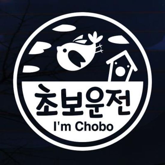 엠블렘 원 하늘새 초보운전
