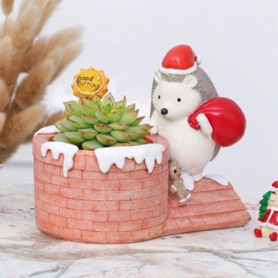 ROOGO 다육이 화분 고슴도치의 크리스마스 굴뚝청소