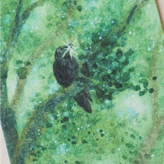 [새가 머무는 책갈피] 까마귀-반짝이는 것을 찾았어