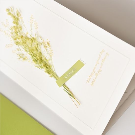 045-SG-0004 더솜씨 연두플라워 축하 용돈봉투