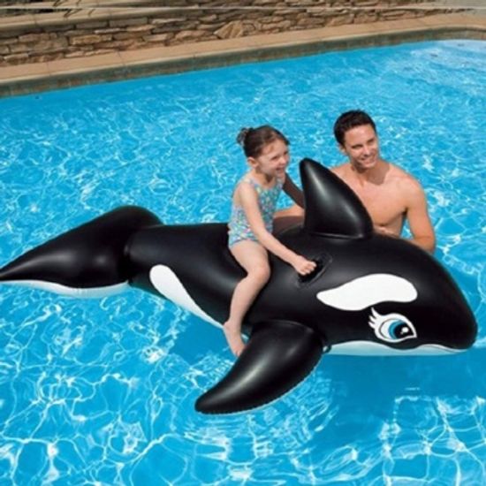 핵 인싸 초대형 돌고래 튜브 물놀이 워터파크 TUBE