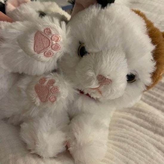 무릎인형★고양이 SS사이즈(히자네꼬)