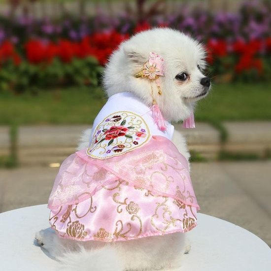 설날 추석 명절 강아지 고양이 애견한복 저고리 치마