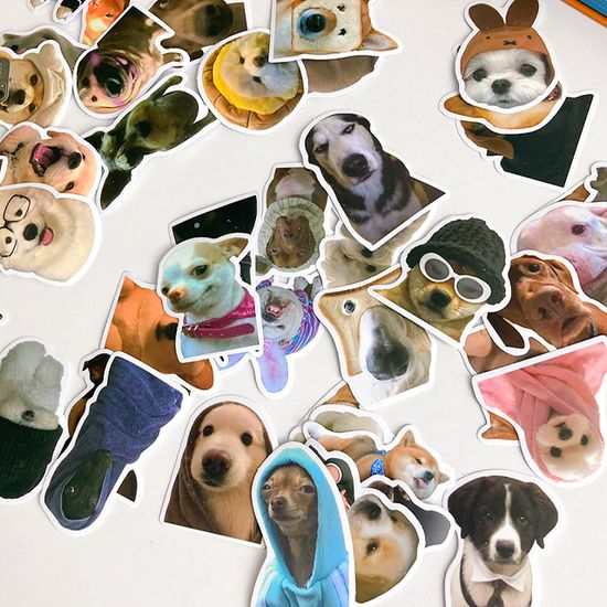 다꾸 폰꾸 리무버블 스티커 세트 No.S46 50장 세트